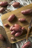 Fototapeta Mapy - Raw Organic Red Fingerling Potatoes