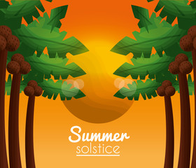 summer solstice vacations sun day with many palms and coconuts vector illustration