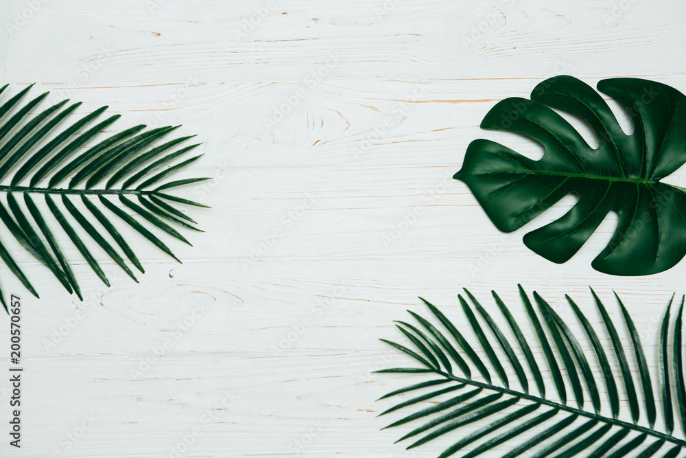 Monstera deliciosa and yellow palm tropical leaves isolated on white ...