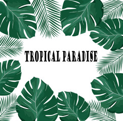 Wall Mural - Vector Tropical Paradise