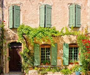 Rustic house front with green wooden shuttered windows and leafy facade, Provence, France