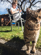 © Alexander - cat hanging in the garden with young woman