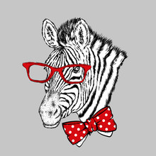 A Zebra With Glasses And A Tie. Vector Illustration.