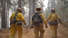 Hotshot Crew Hero Walk Through Smokey Forest During Wildfire