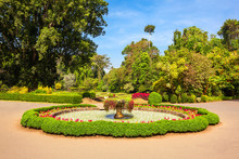 Peradeniya Royal Botanic Gardens