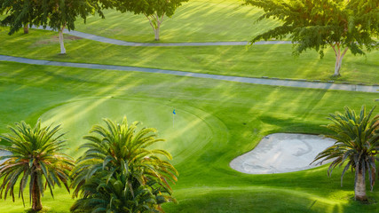 Above view on palm trees on green golf court.