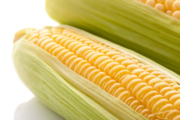 Wall Mural - Close up shot of fresh corn cobs.