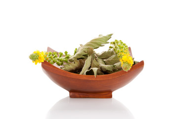 Wall Mural - Curative Agrimonia eupatoria flower in bowl