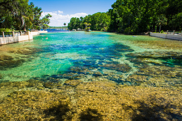 Salt Springs, Florida