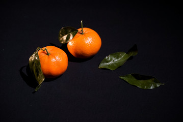 Two citrus mandarin with leafes on black background isolated