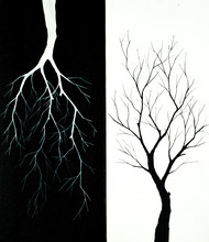 Invert White And Set Black Tree Background  From Oil Paint