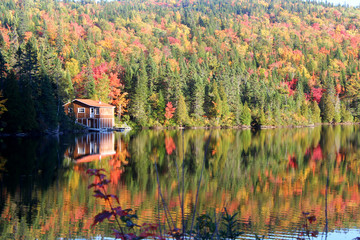 Wall Mural - cabane au Canada en automne, Québec 