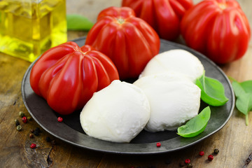 Poster - Tomaten Öl Mozzarella