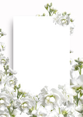 Background frame with beautiful spring landscape