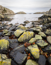 Rocks Covered In Lichen, The Ocean And Islands In The Background. Urd Island At The Rovaer Archipelago In Haugesund, Norwegian West Coast. Vertical Image