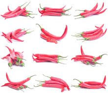 Chili Pepper Collection