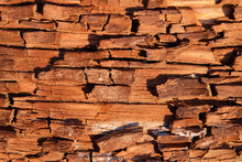 Texture Of The Old Wooden With Brown Fissured Rot Close-up