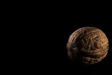 Walnut in front of black background