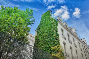 Canvas Print - Facade of Parisian building