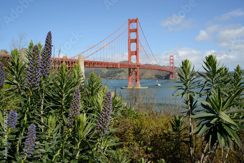 Plakat Golden Gate Bridge z duma madery przedpole