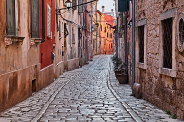 Wall Mural - Rovinj, Istria, Croatia: ancient alley in the old town