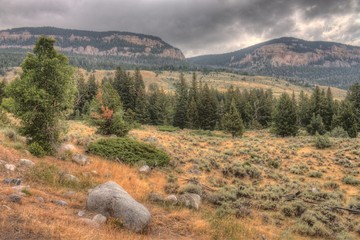 Wall Mural - Rugged Country in Rural Wyoming during Summer