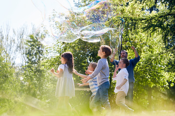 Wall Mural - middle-aged bearded animator presenting his soap bubble show to little children while spending summe