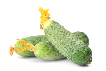 Poster - Fresh cucumber