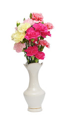Wall Mural - Carnation
