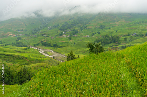 Fotografia View from the top on mountain valley with rice terraces