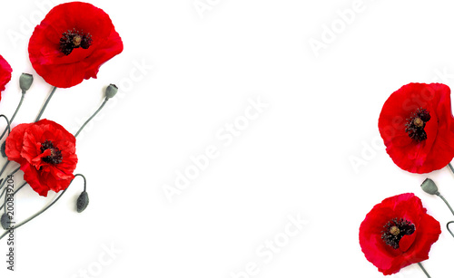 Frame Of Flowers Red Poppies Papaver Rhoeas Common Names Corn Poppy Corn Rose Field Poppy Red Weed On A White Background With Space For Text Top View Flat Lay Stock Photo