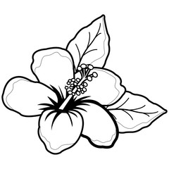 Wall Mural - Hawaiian hibiscus flower. Vector black and white coloring page.