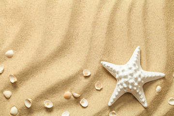 Summer, Sand Background with Starfish and Shells