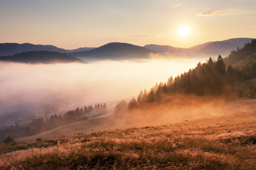 Landcape with sun, meadow, forest and mountain.