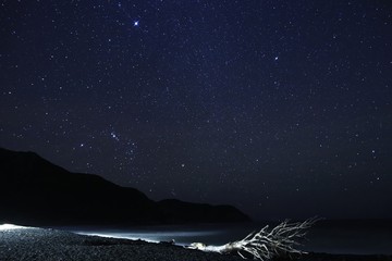 Wall Mural - orion constellation over the sea side