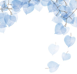 Wall Mural - isolated half frame from blue leaves branches