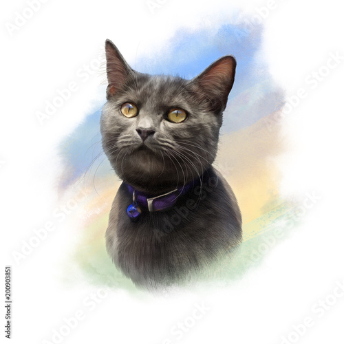 Cute Black Cat With Big Eyes Portrait Of A Cat Realistic Drawing