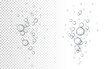 Water bubbles Vector illustration. Abstract Bubbles. White transparent background with bubbles