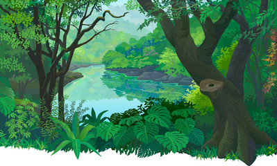 Wall Mural - dense, green tropical forest and a flowing fresh water river.