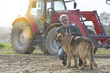 © goodluz - Farmer petting dog outside the barn, tractor in background