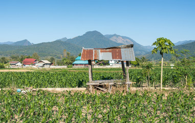 Cabin in farm and mountain