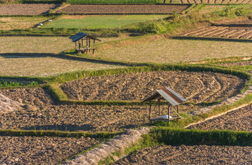 Two Cabin in Rice fields with light