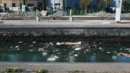 Wall Mural - duck with pollution 