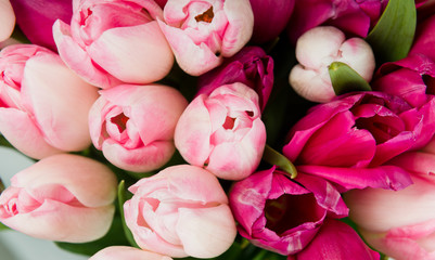 Poster -  bouquet of pink tulips