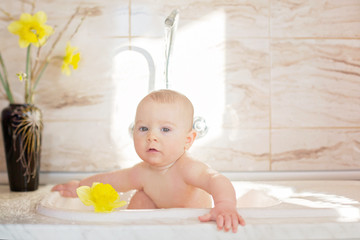 Wall Mural - Sweet baby boy, taking shower in sink in kitchen, morning time