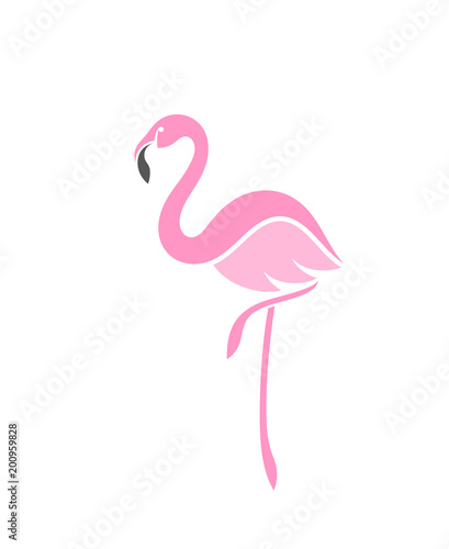 Foto  Flamingo. Logo