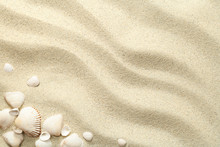 Sand Background With Shells