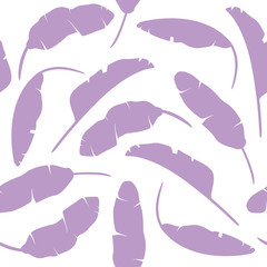 Wall Mural - Set of tropical leaves. Banana leaves isolated purple on white background