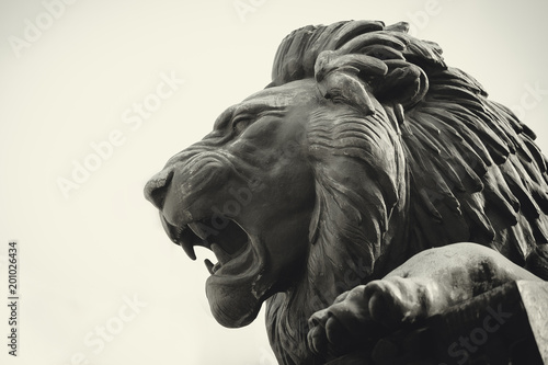 Cuadros en Lienzo Statue of a lion muzzle in profile
