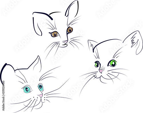 Mordochka Kota Cat Kupit Etu Gotovuyu Illyustraciyu I Rassmotret Analogichnye Illyustracii V Adobe Stock Adobe Stock